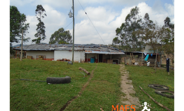 VENDE FINCA GANADERA EN ANGOSTURA – ANTIOQUIA