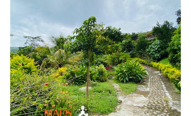 Casa Finca en venta, en el Municipio de Cisneros