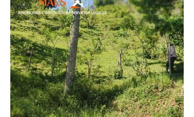 Venta de finca 37 Hectáreas con Casas y Agua Propia