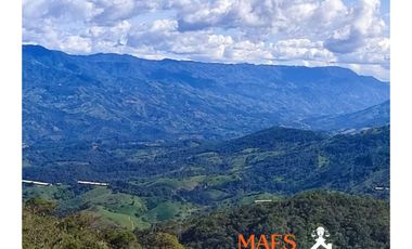 Venta de finca 37 Hectáreas con Casas y Agua Propia