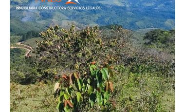 Venta de finca 37 Hectáreas con Casas y Agua Propia