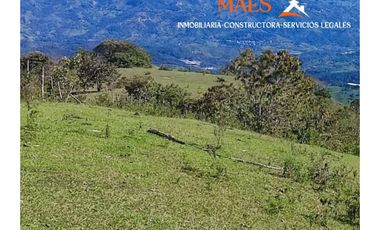 Venta de finca 37 Hectáreas con Casas y Agua Propia