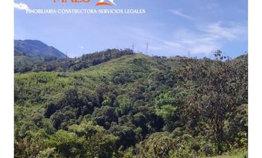 Venta de finca 37 Hectáreas con Casas y Agua Propia