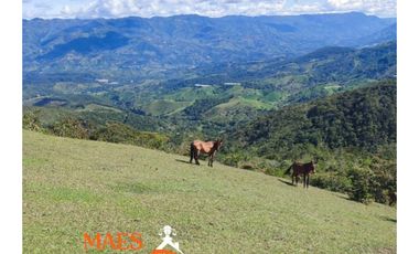 Venta de finca 37 Hectáreas con Casas y Agua Propia
