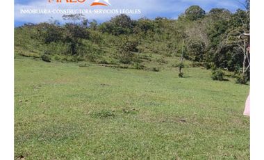 Venta de finca 37 Hectáreas con Casas y Agua Propia