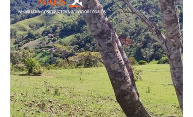 Venta de finca 37 Hectáreas con Casas y Agua Propia