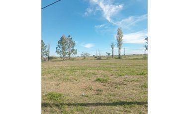 LOTE EN VENTA EN OLIVEROS
