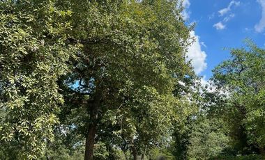 Venta Quinta campestre Montemorelos