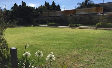 Rento departamento High park hermosa vista