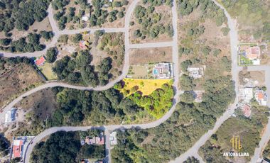 Terreno en Venta en Haras, Sección La Joya