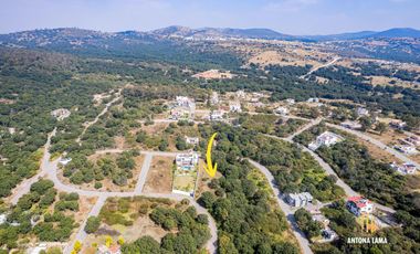 Terreno en Venta en Haras, Sección La Joya