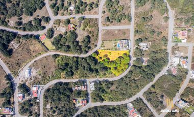 Terreno en Venta en Haras, Sección La Joya