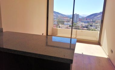 Los Carrera 1131 (1 Est ) [521-3]