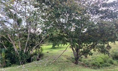 SAN JOSE / SAN CARLOS / 30000 M / COLINDA CON RIO / NEGOCIABLE AG