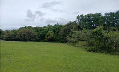 SAN JOSE / SAN CARLOS / 30000 M / COLINDA CON RIO / NEGOCIABLE AG