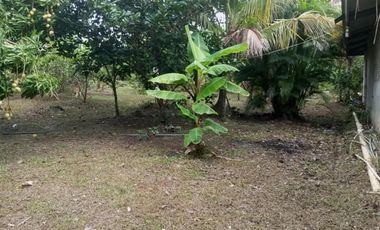 LA PAZ DE CHAME / 1570M / 5HABITACION / TERRAZA  / CERCA DE PLAYA AG