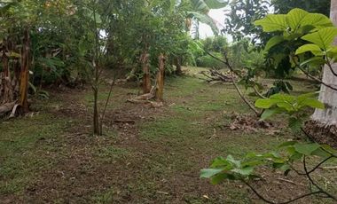 LA PAZ DE CHAME / 1570M / 5HABITACION / TERRAZA  / CERCA DE PLAYA AG