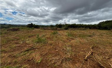 CHORRERA / VA PUERTO CAIMITO / 5400M / PARA DESARROLLO INMOBILIARIO