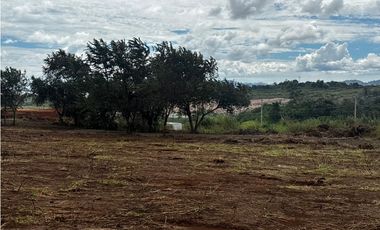 CHORRERA / VA PUERTO CAIMITO / 5400M / PARA DESARROLLO INMOBILIARIO