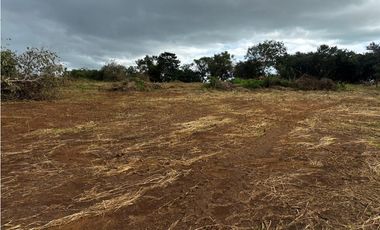 CHORRERA / VA PUERTO CAIMITO / 5400M / PARA DESARROLLO INMOBILIARIO