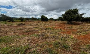 CHORRERA / VA PUERTO CAIMITO / 5400M / PARA DESARROLLO INMOBILIARIO