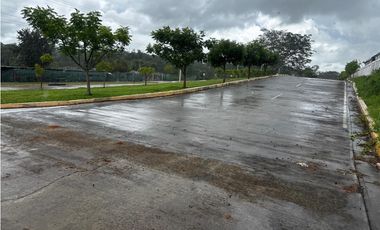 CHORRERA / VA PUERTO CAIMITO / 5400M / PARA DESARROLLO INMOBILIARIO