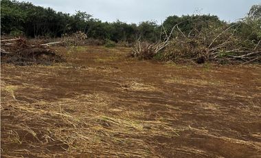 CHORRERA / VA PUERTO CAIMITO / 5400M / PARA DESARROLLO INMOBILIARIO