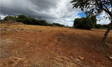 CHORRERA / VA PUERTO CAIMITO / 5400M / PARA DESARROLLO INMOBILIARIO