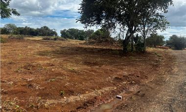 VA PUERTO CAIMITO / CHORRERA / 5400M / PARA DESARROLLO INMOBILIARIO