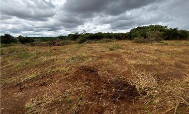 VA PUERTO CAIMITO / CHORRERA / 5400M / PARA DESARROLLO INMOBILIARIO