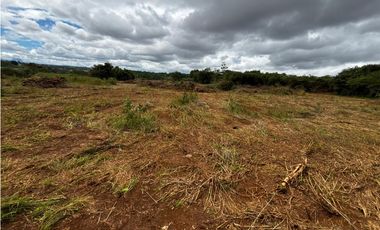 VA PUERTO CAIMITO / CHORRERA / 5400M / PARA DESARROLLO INMOBILIARIO