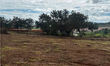 VA PUERTO CAIMITO / CHORRERA / 5400M / PARA DESARROLLO INMOBILIARIO