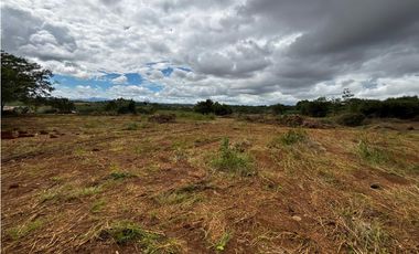 VA PUERTO CAIMITO / CHORRERA / 5400M / PARA DESARROLLO INMOBILIARIO