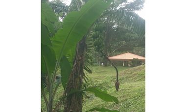 En venta propiedad en Altos de María -Chame