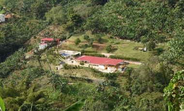 Se vende finca en Buenavista, Quindío