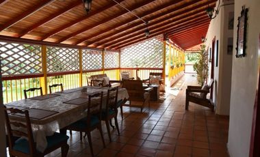 Se vende finca en Buenavista, Quindío