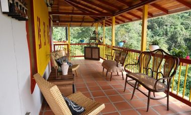 Se vende finca en Buenavista, Quindío
