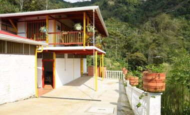 Se vende finca en Buenavista, Quindío