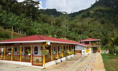 Se vende finca en Buenavista, Quindío