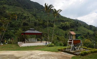 Se vende finca en Buenavista, Quindío