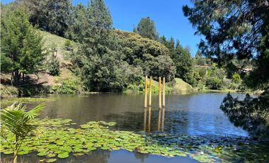 VENTA DE FINCA EN RIONEGRO -ANT