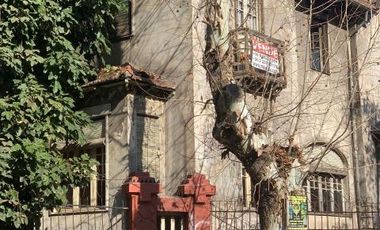 Ernesto Pinto Lagarrigue/Dominica - Local Comercial - Venta