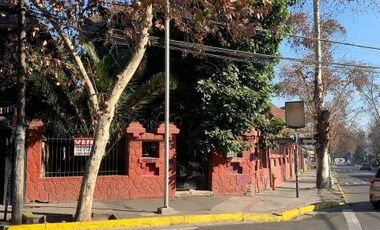 Ernesto Pinto Lagarrigue/Dominica - Local Comercial - Venta