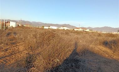 Parcela en Venta en Los trigales guanaqueros