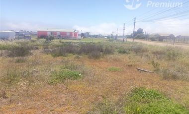 Parcela en Venta en Los trigales guanaqueros