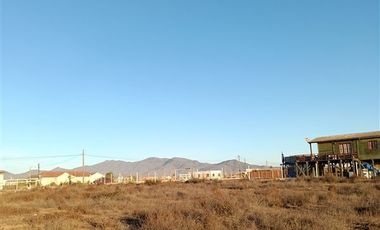 Parcela en Venta en Los trigales guanaqueros