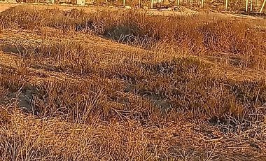 Parcela en Venta en Los trigales guanaqueros