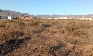 Parcela en Venta en Los trigales guanaqueros