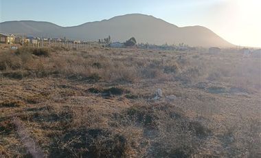 Parcela en Venta en Los trigales guanaqueros