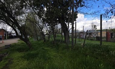 Terreno Construccion en Venta en Chanquico